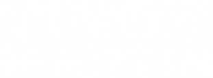 logo Tino Martin logo Tino Martin